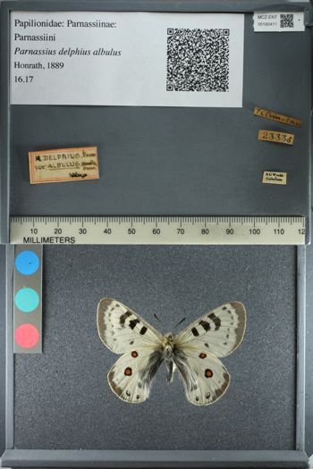 Media type: image;   Entomology 180411
